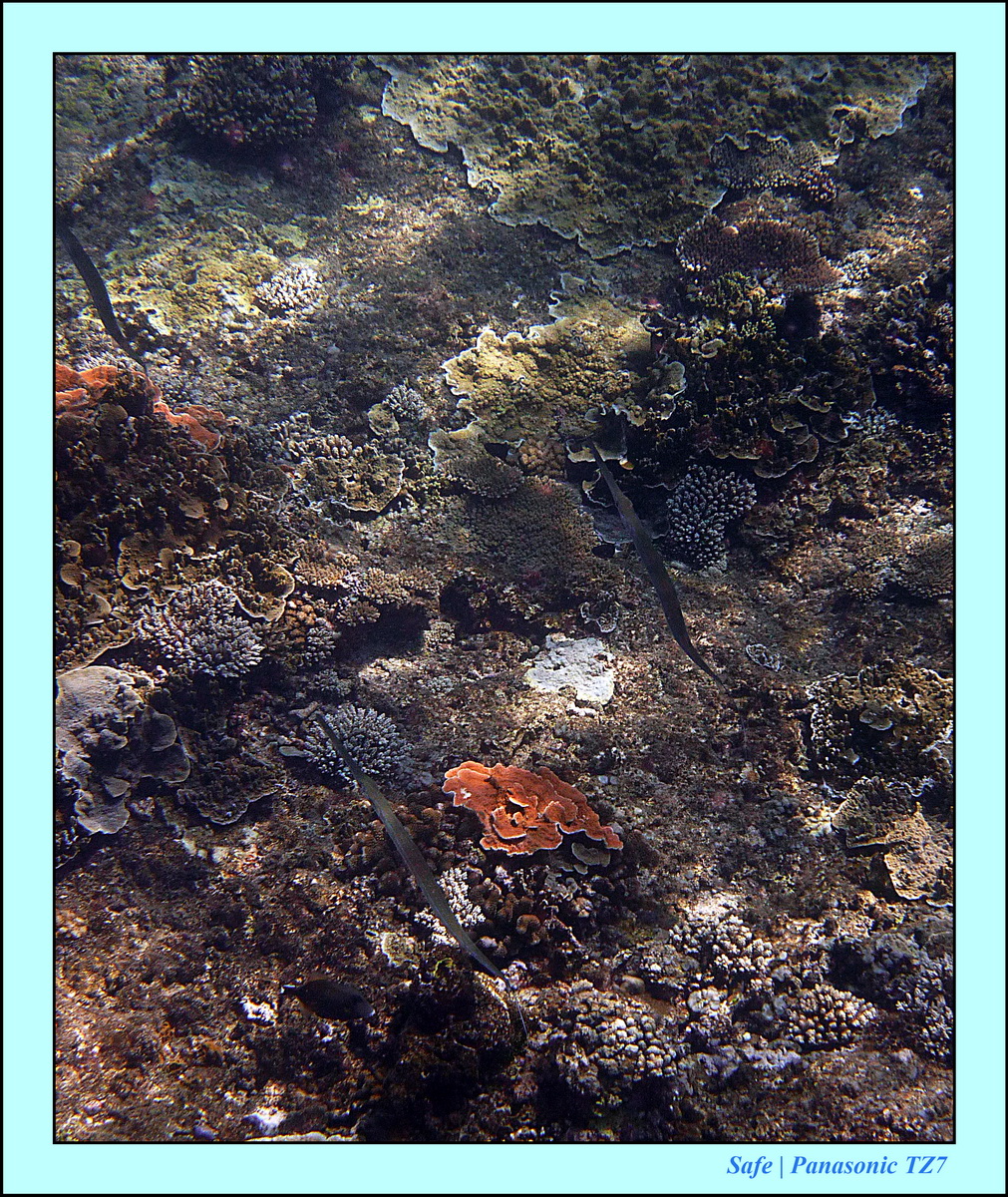 2012 - 07 - Gili - 66